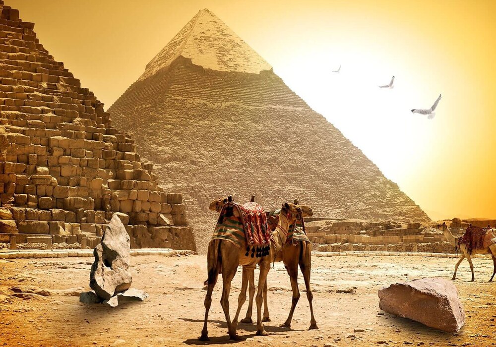 المدينة المنورة